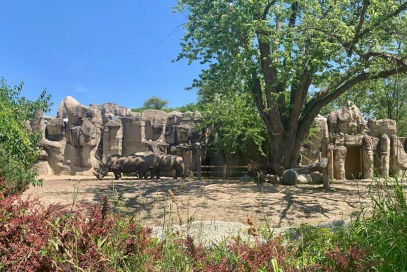 Best Things to do in Detroit, Michigan: Zoo