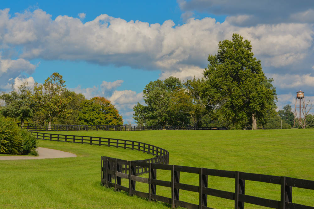 Best Things to do in Lexington, KY: Kentucky Horse Park