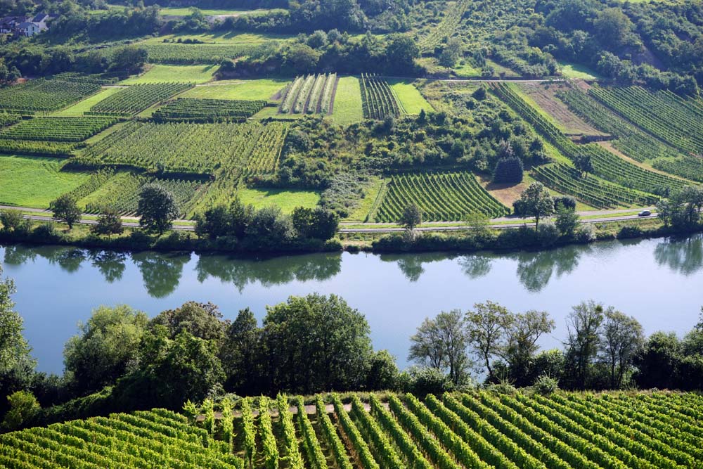 Best Things to do in Luxembourg: Moselle Valley