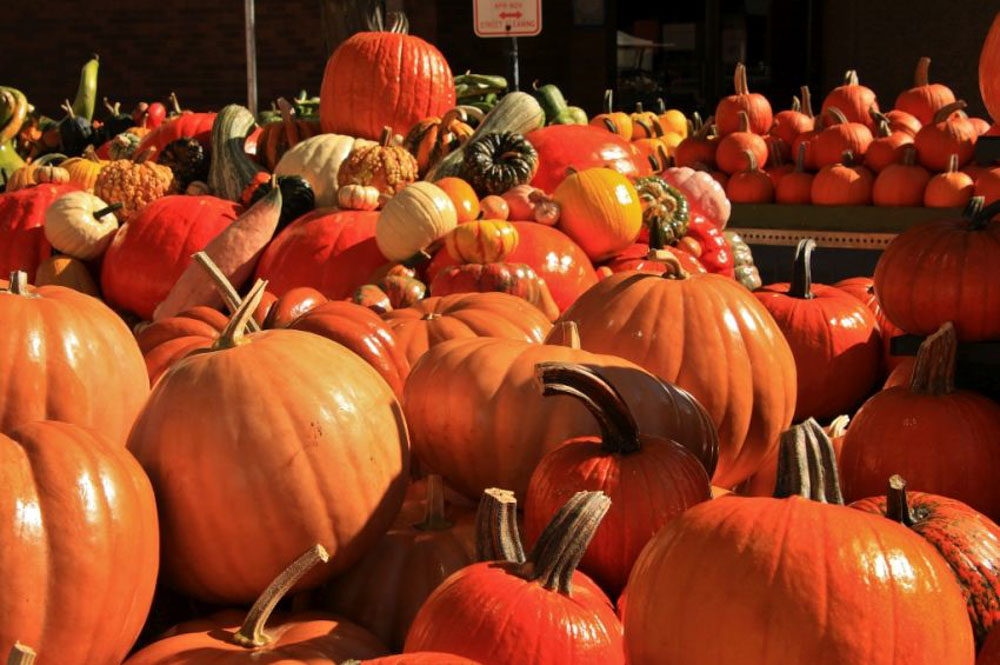 Best Things to do in Ohio: Circleville Pumpkin Show