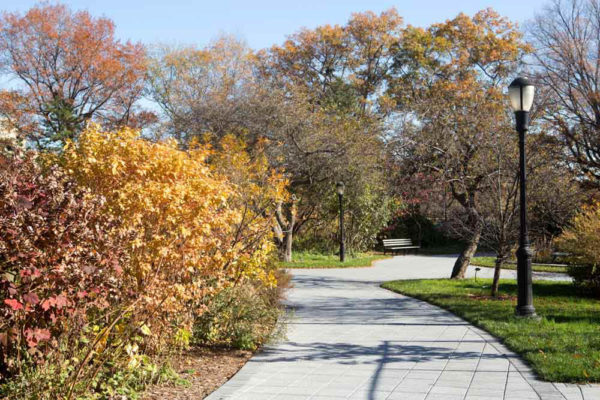 Best Things to do in Queens: Queens Botanical Garden