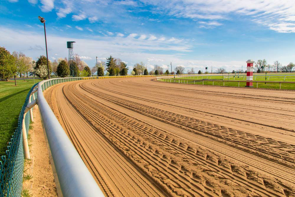 Cool Things to do in Lexington, KY: Keeneland Race Course