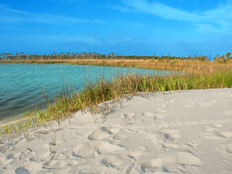 Cool Things to do in Mississippi: Gulf Islands National Seashore
