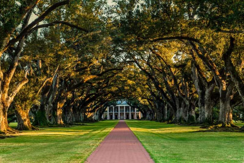 Cool Tours to Book in New Orleans: Scenic Oak Alley Plantation