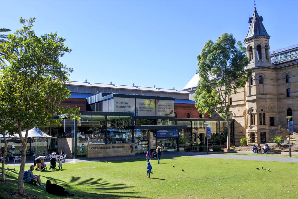 Fun Things to do in Adelaide: South Australian Museum