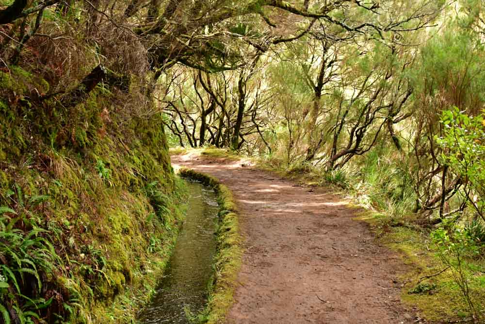 Fun Things to do in Madeira, Portugal: 25 Fontes