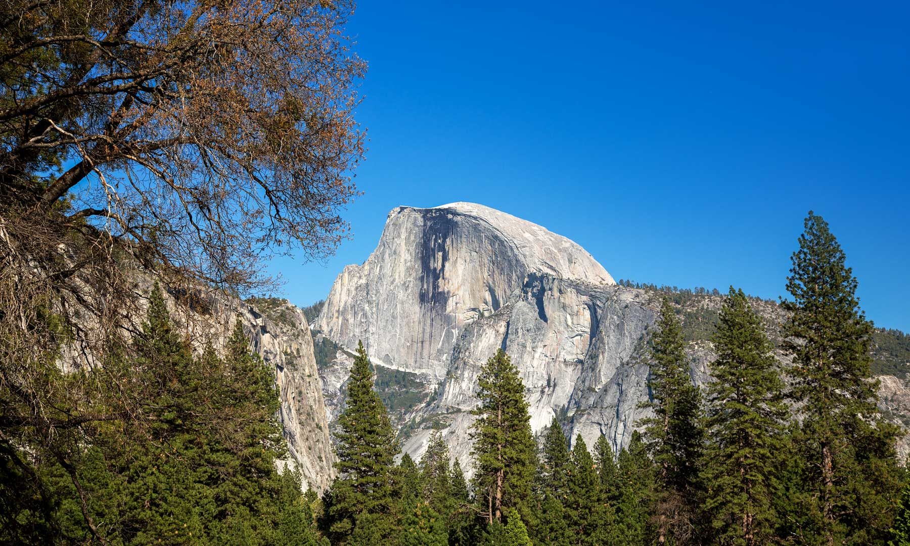 Half Dome Hiking Guide Yosemite National Park