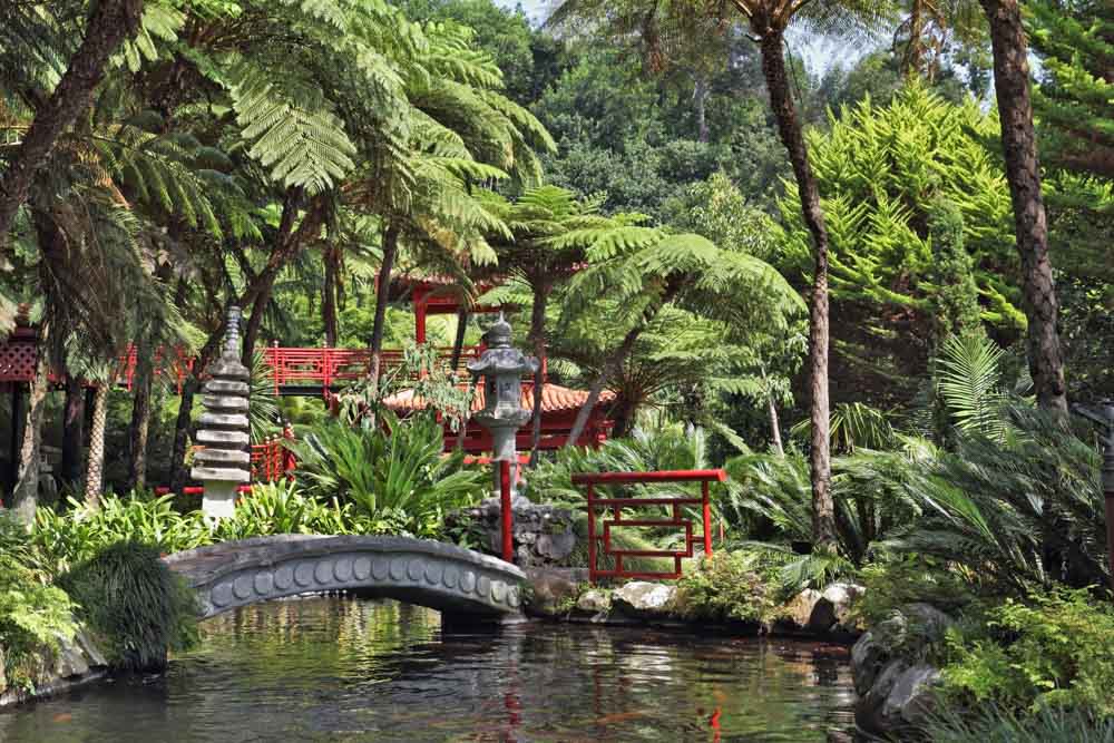 Madeira, Portugal Bucket List: Monte Palace Tropical Garden