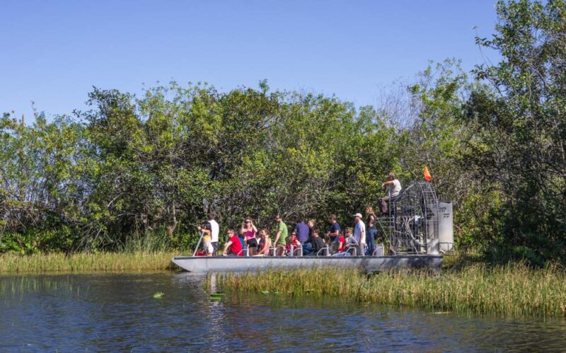 Must Book Tours in New Orleans: Swamp Tour