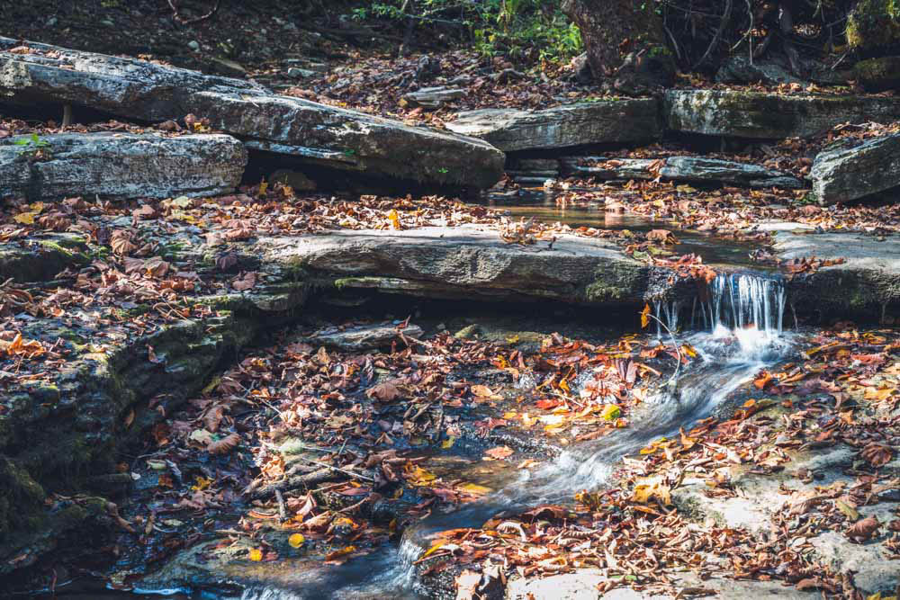 Must do things in Lexington, KY: Trails of Raven Run Nature Sanctuary