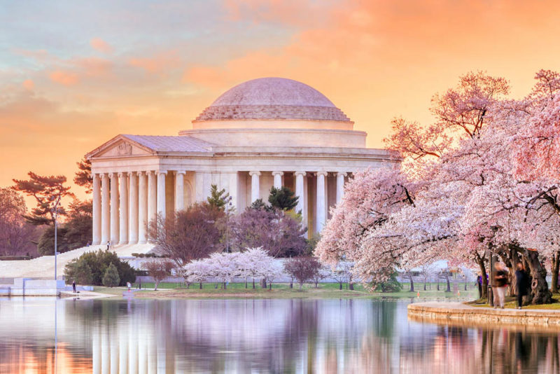 Must do things in Washington, DC: National Cherry Blossom Festival