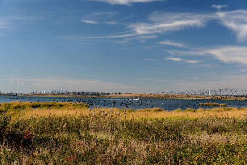Queens Things to do: Jamaica Bay Wildlife Refuge
