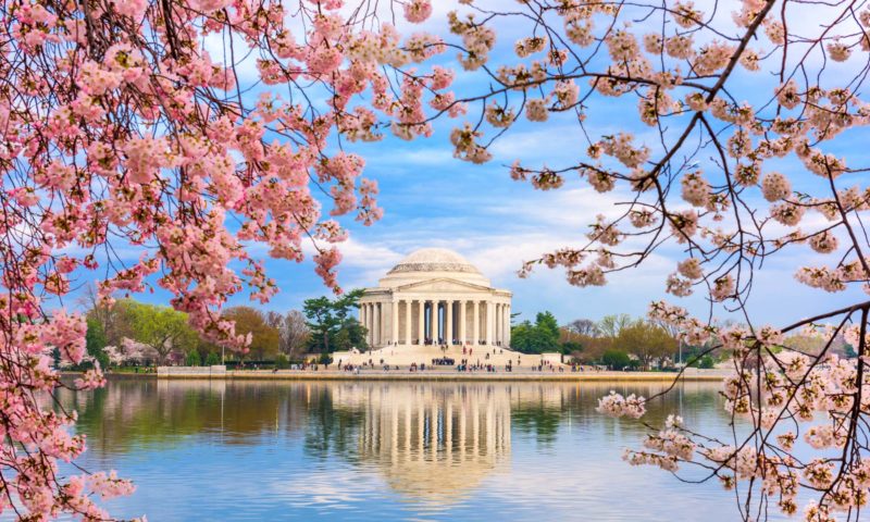 The Best Things to Do in Washington DC