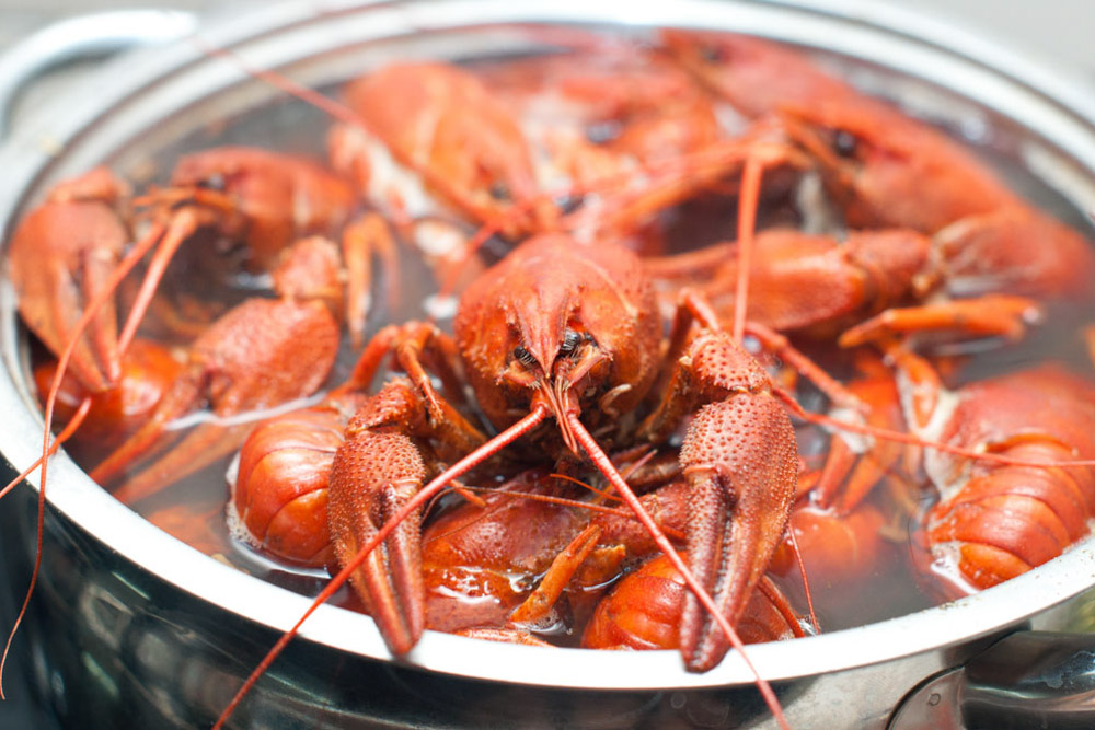 Traditional Foods to eat in New Orleans: Boiled Crawfish