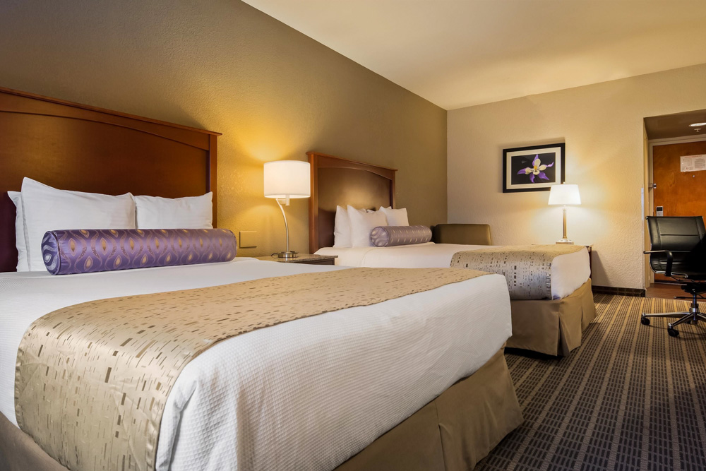 Unique Colorado Springs Hotels: Best Western Plus Peak Vista Inn & Suites