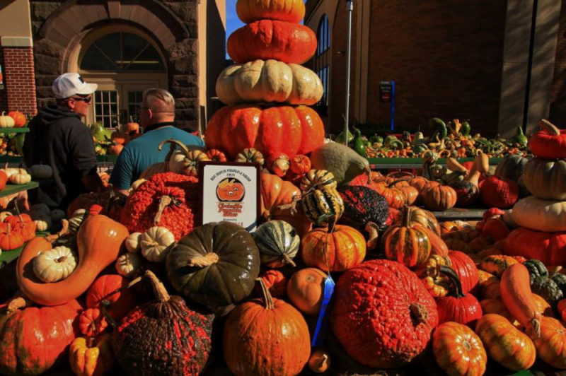 Unique Things to do in Ohio: Circleville Pumpkin Show