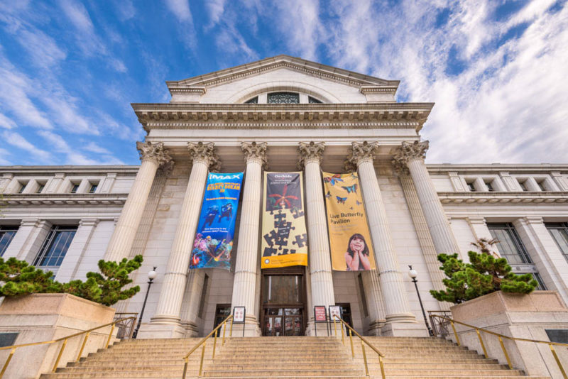 Unique Things to do in Washington, DC: Smithsonian National Museum of Natural History