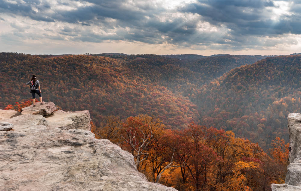 West Virginia Things to do: Coopers Rock State Forest