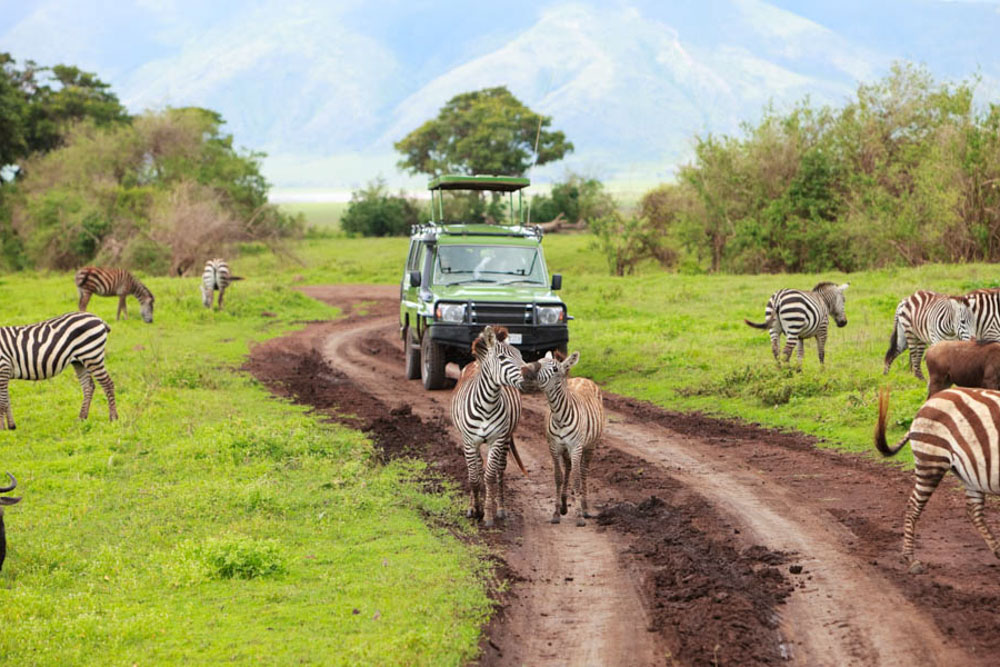 What Countries Arent Crowded in June: Serengeti National Park, Tanzania