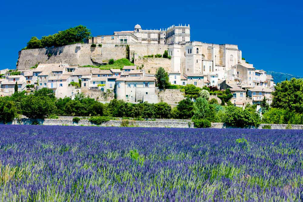 What Countries Have Shoulder Season in June: Provence Lavender Fields, France