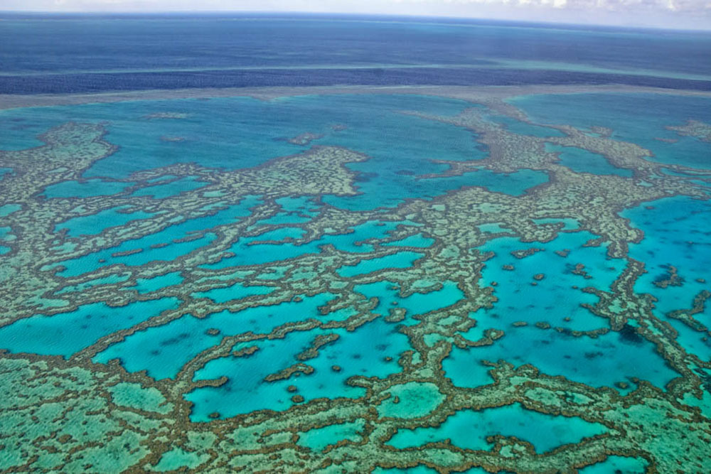 Where to Vacation in June to Avoid Crowds: The Great Barrier Reef, Australia