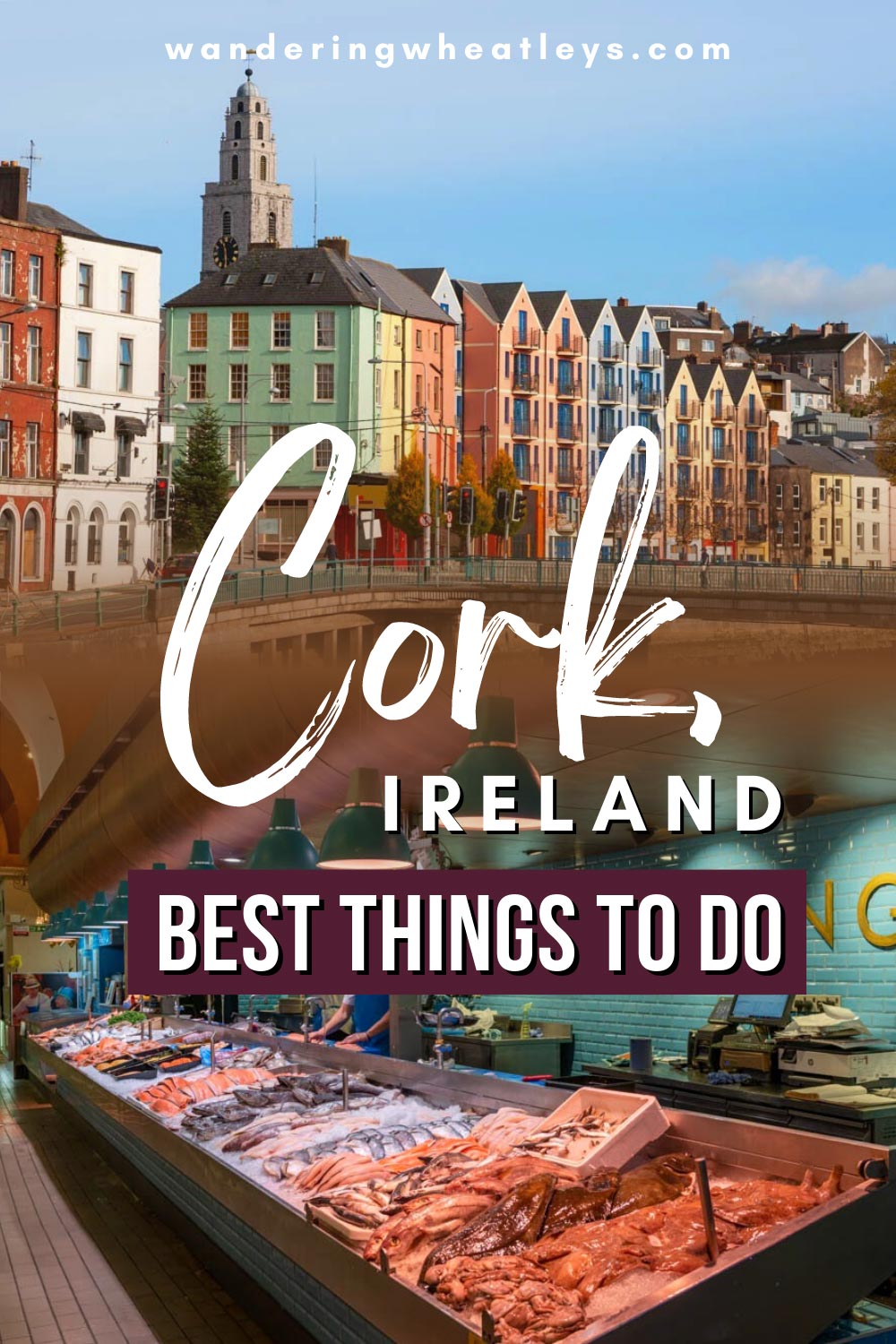 7 Amazing Things to do in Cork, Ireland