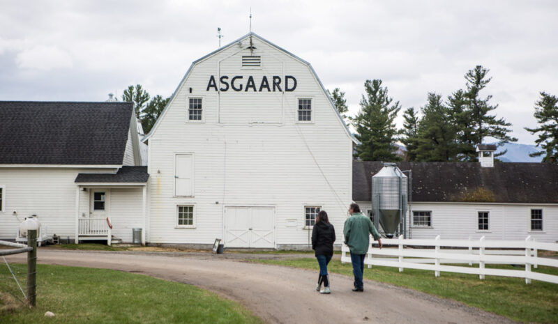 Best Things to do in Lake Placid, New York: Asgaard Farm and Dairy