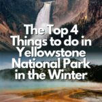 Best Things to do in Yellowstone National Park in the Winter