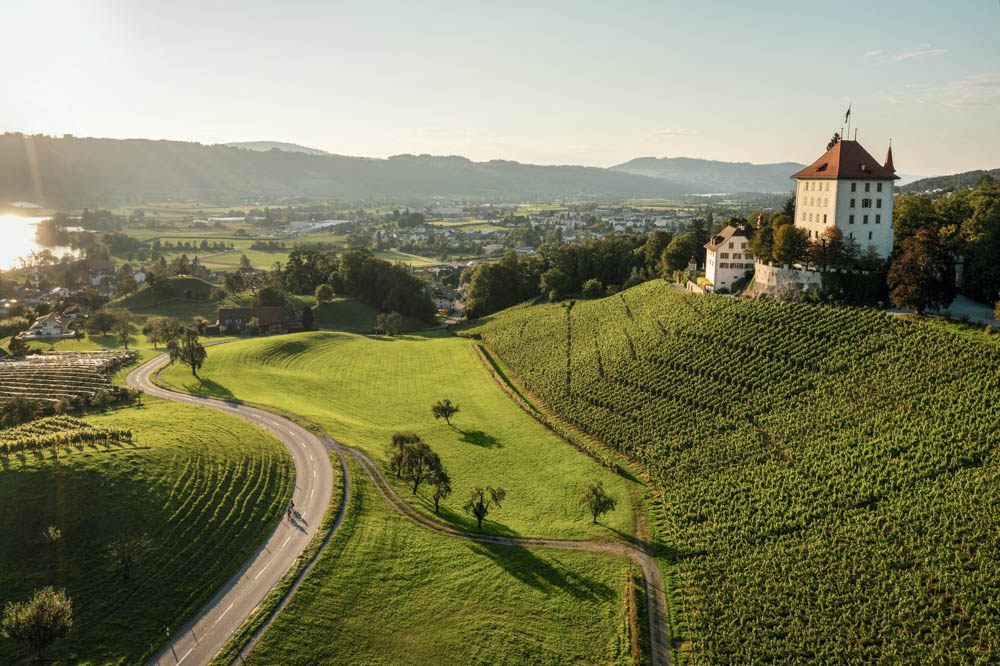 Fun Things to do in Lucerne: Schloss Heidegg