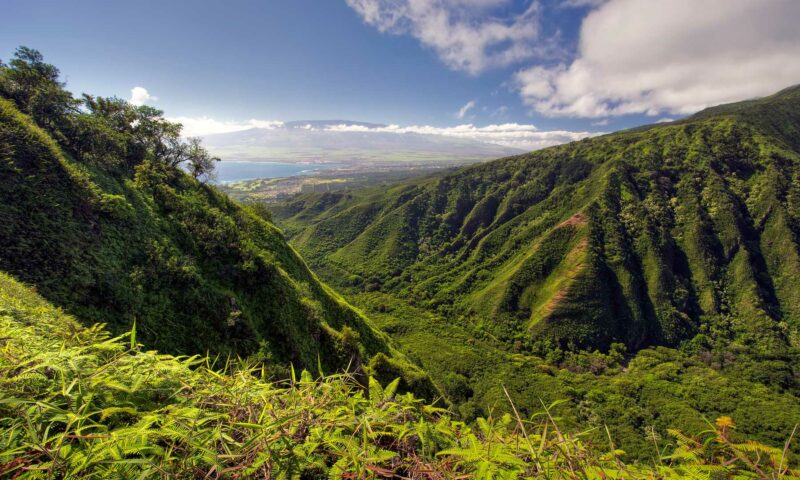 Hiking the Waihe'e Ridge Trail in Maui