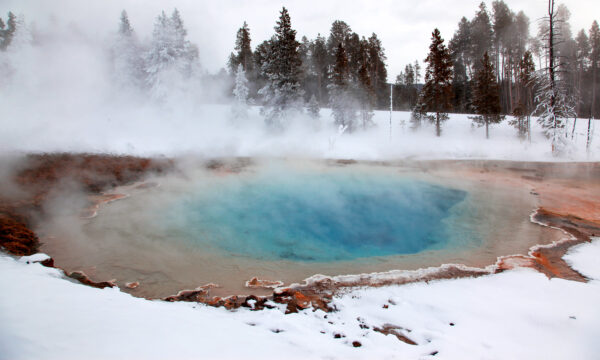Top Things to Do in Yellowstone National Park in the Winter