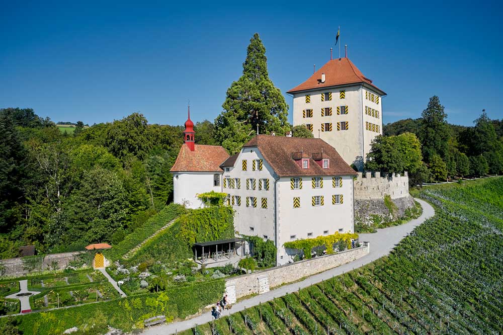 Unique Things to do in Lucerne: Schloss Heidegg