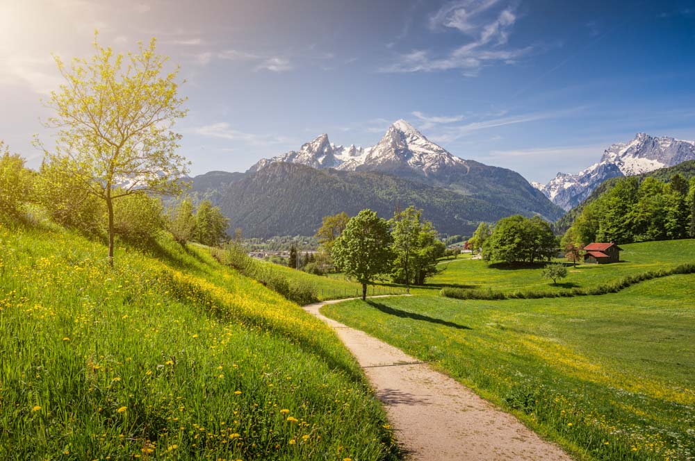 What to do in Switzerland: Swiss National Park