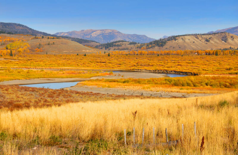 Best US National Parks to Visit in the Fall: Yellowstone National Park