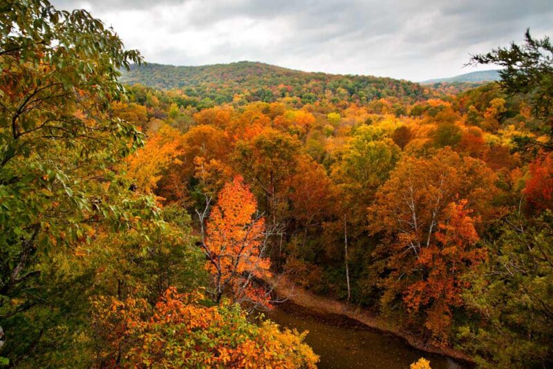Best Places to Visit in USA in November: Arkansas’ Ozark-St. Francis National Forest