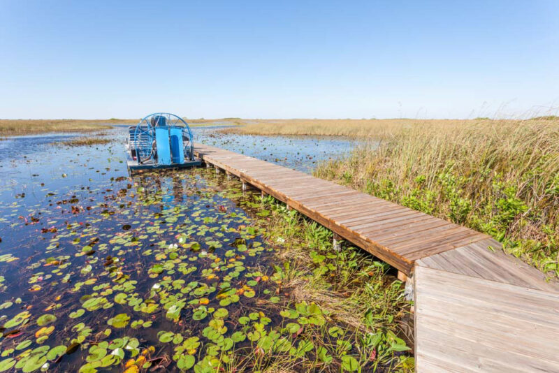 Best Places to Visit in USA in November: Everglades National Park, Florida