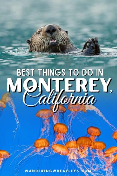 Best Things to do in Monterey, California