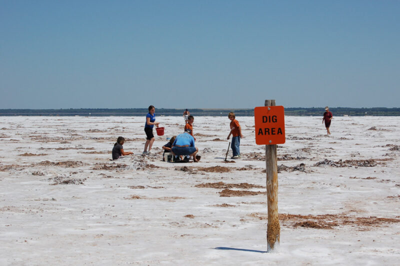 Best Things to do in Oklahoma: Great Salt Plains State Park
