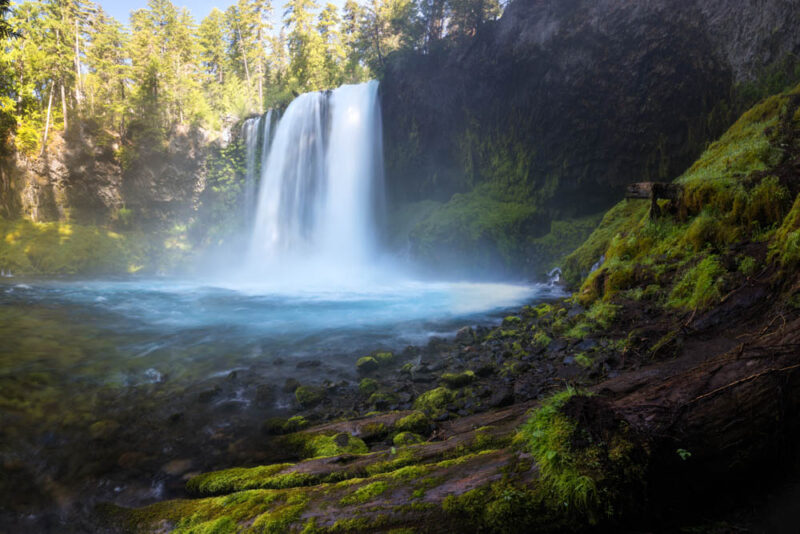 Fun Things to do in Eugene: McKenzie River National Recreation Trail
