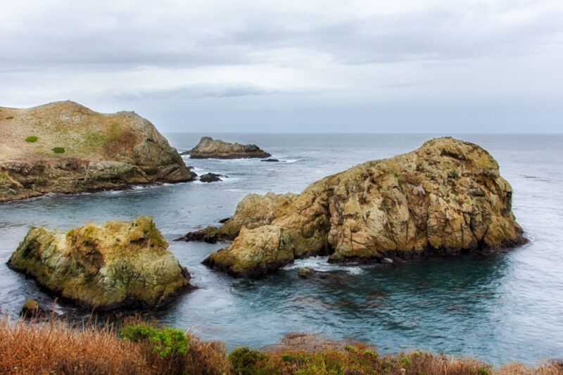 Fun Things to do in Monterey: Point Lobos State Natural Reserve