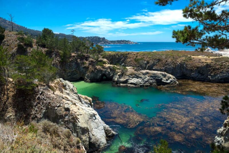 Monterey Bucket List: Point Lobos State Natural Reserve
