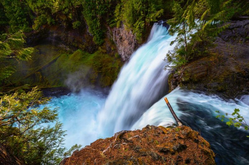 Must do things in Eugene: McKenzie River National Recreation Trail