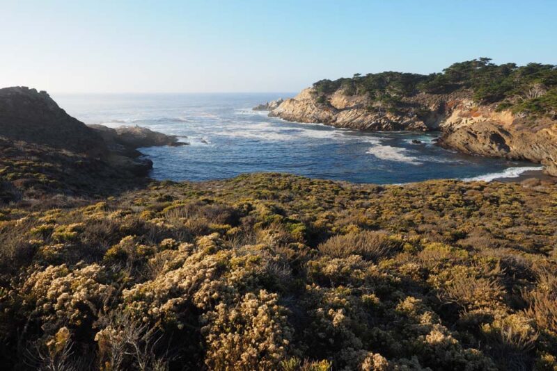 Must do things in Monterey: Point Lobos State Natural Reserve