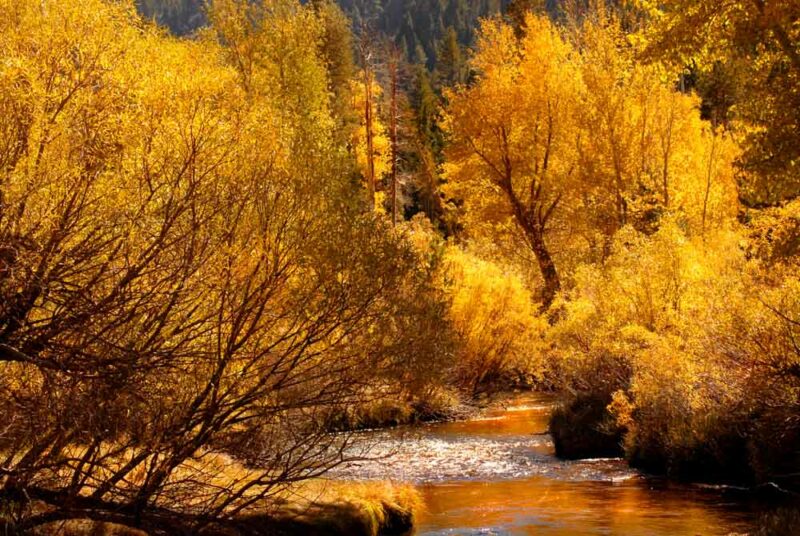 Must See National Parks to Visit during Fall: Yosemite National Park