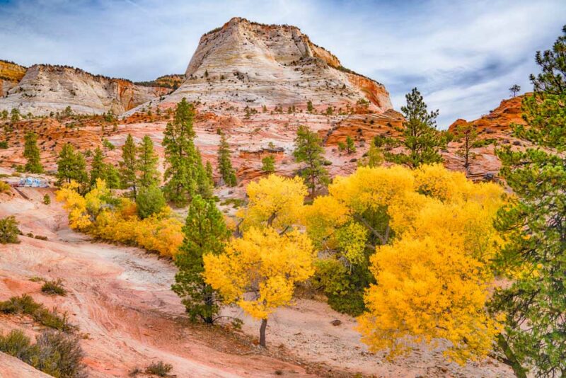 Must See National Parks to Visit during Fall: Zion National Park
