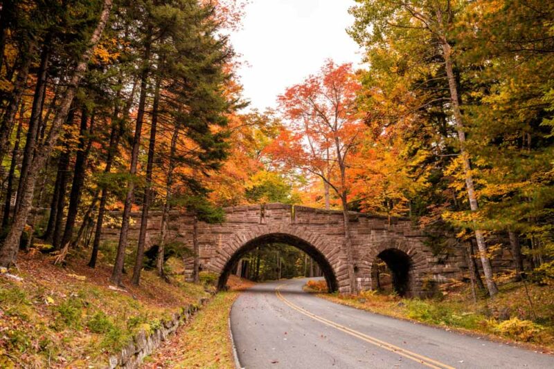 Must Visit National Parks in the Fall: Acadia National Park
