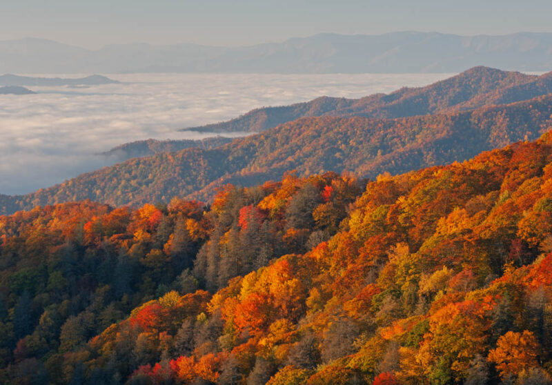 Must Visit National Parks in the Fall: Smoky Mountains National Park