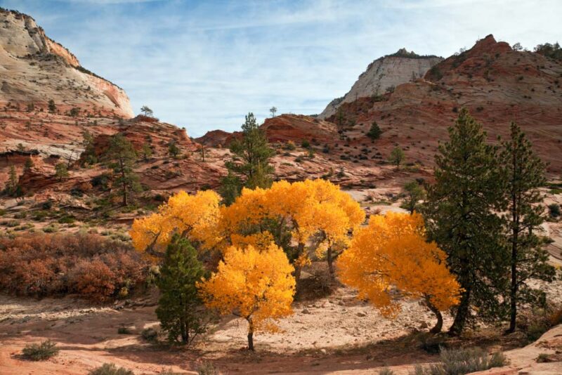 Must Visit National Parks in the Fall: Zion National Park