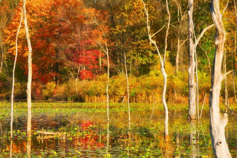 National Parks in the US to Visit in the Fall: Cuyahoga Valley National Park