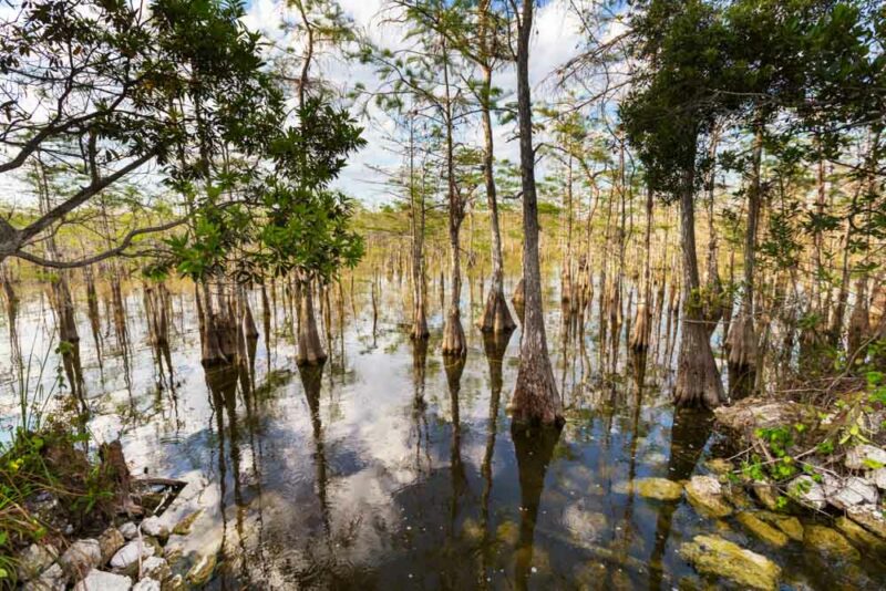 National Parks in the US to Visit in the Fall: Everglades National Park